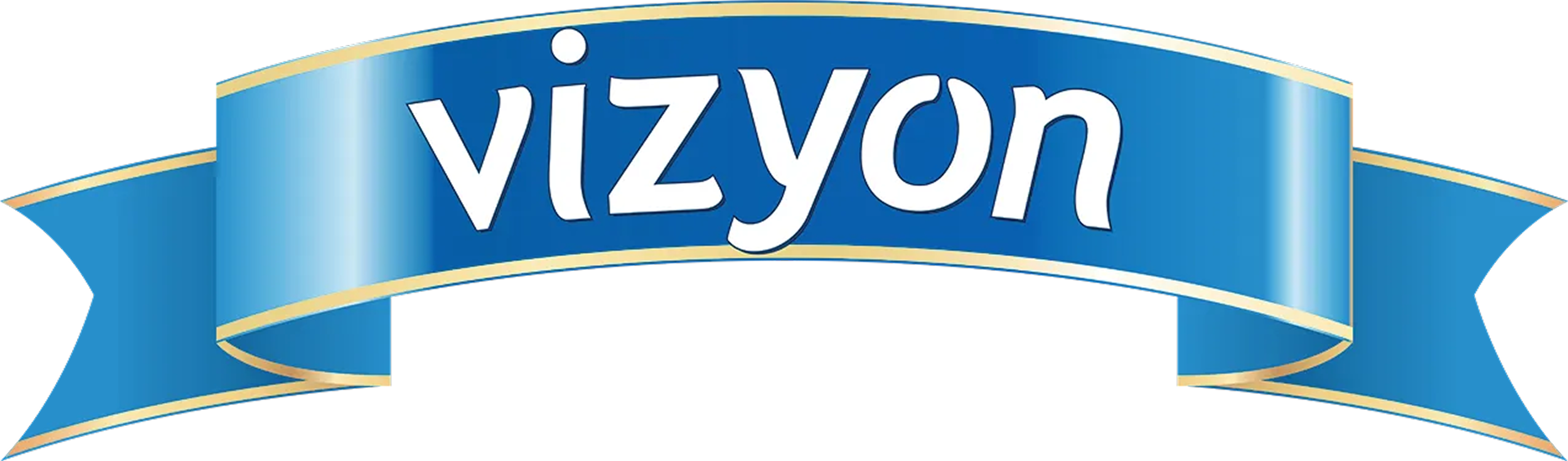 Vizyon