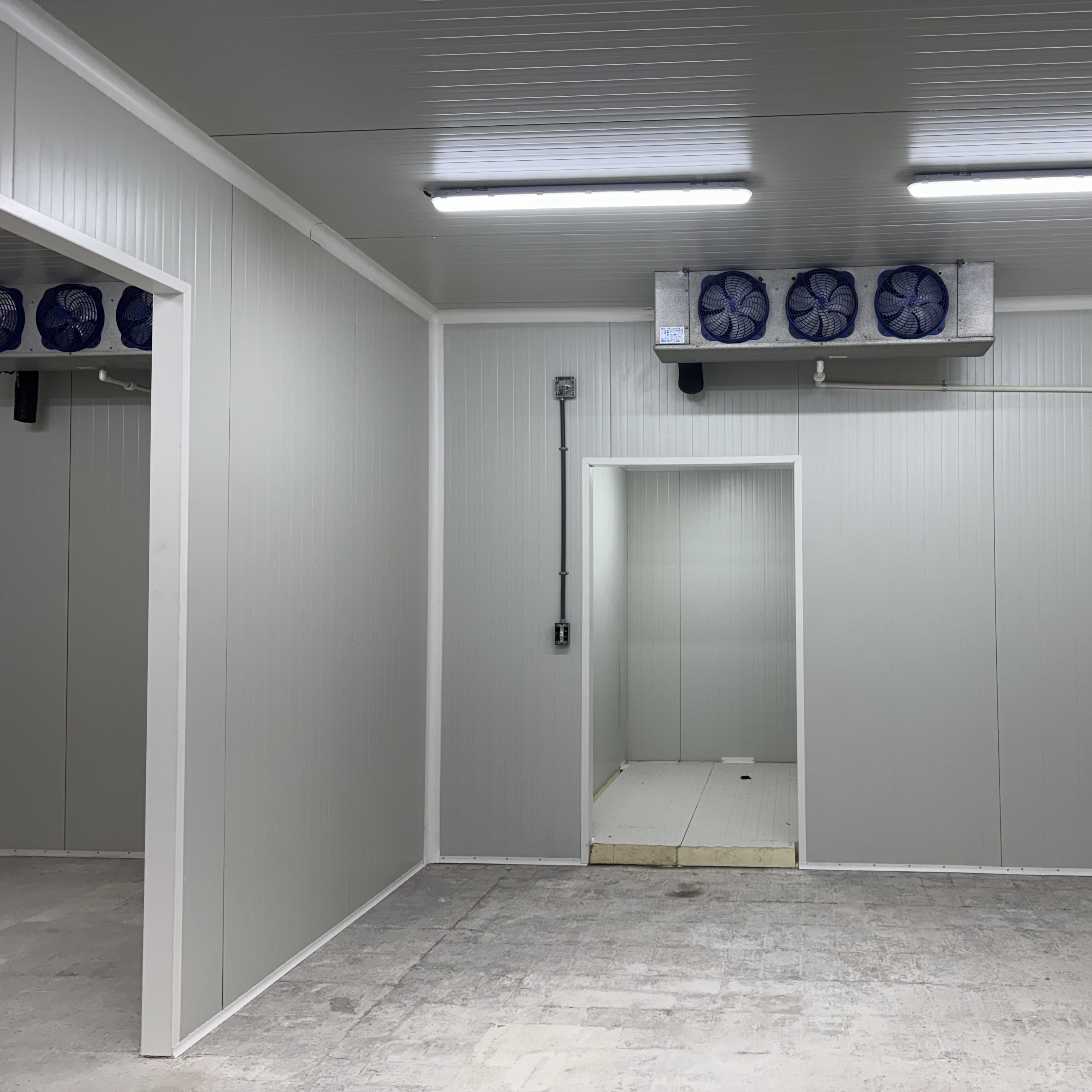 Cold Storage